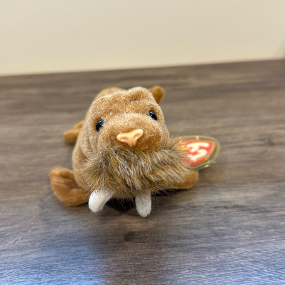 Beanie Baby Paul 1999 Walrus - Picture 1 of 2